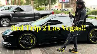 My Las Vegas Experience Mini Vlog!! The Sahara New Pool And More..