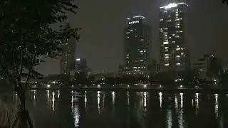 𝐁𝐓𝐒 - 𝐁𝐥𝐚𝐜𝐤 𝐬𝐰𝐚𝐧 𝐢𝐧𝐬𝐭𝐫𝐮𝐦𝐞𝐧𝐭𝐚𝐥 ( 𝐬 𝐥 𝐨 𝐰 𝐞 𝐝 )