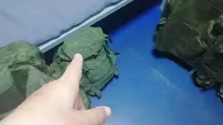 мобилизация.