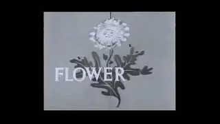 VHS Opening and Closing to Bill and Ben the Flowerpot Men 2 UK VHS Tape
