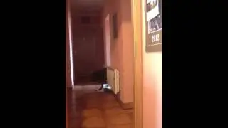 Nero at action