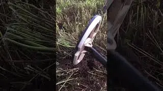 Божественный сохран! 