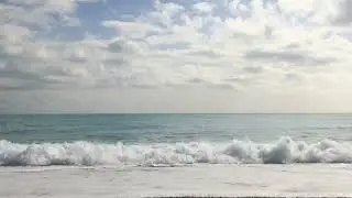 The Longest Johns   Bones In The Ocean