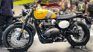 Brand New Best Full-Size Beginner Bikes | 2024