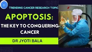 Apoptosis: The Key to Conquering Cancer| Role of Apoptosis in Cancer Research and Cancer Biology