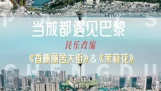 当法国街头响起民乐的声音，是谁的DNA动了？#erhu #二胡 #travel #music #chinesemusic #竹笛