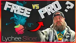 What is The Difference between Lychee Free and Pro?