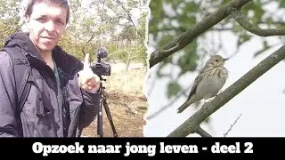 Arne Fotografeert ( Seizoen 3 afl 6 ) Opzoek naar jong leven - deel 2 van 2