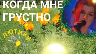 Успокоительное Когда Мне Грустно