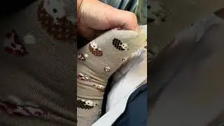 Candid sleeping wife’s socks: Hedgehogs and Mushrooms!