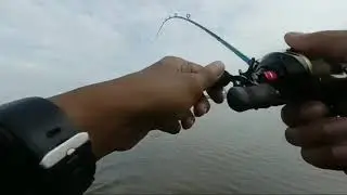 Mantap Sekali Tarikannya... #joranmelengkung #fishing #mancingmania