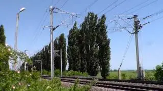 41-ца с жесток поздрав