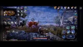 BDM Teaser Tutorial for Freesians...