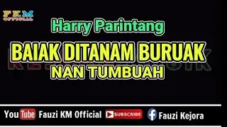 Harry Parintang - BAIAK DITANAM BURUAK NAN TUMBUAH [ Karaoke ]