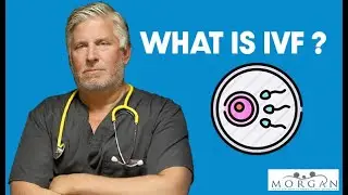 What is IVF?
