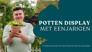 Potten display met eenjarigen I de mooiste selectie I Angelo Dorny