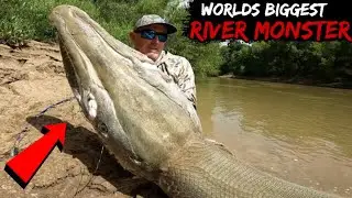 Nagsigawan ang mga Tao Nang Mahuli ang Dinosaur na Isda?