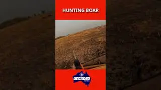 Hunting More Wild Boar FNQ