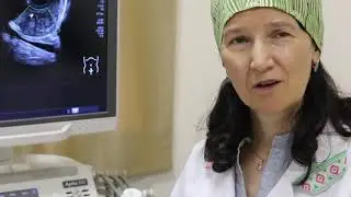 УЗИ мошонки