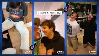 Vlog Squad's Hilarious Tik Toks