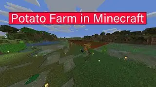 SHOWOFF | Minecraft Potato farm