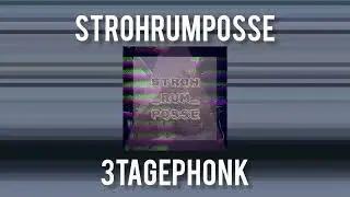 STROH_RUM_POSSE - 3tage phonk (PHONKTEKK)