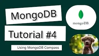 Complete MongoDB Tutorial #4 - Using MongoDB Compass