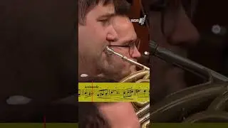 Just close your eyes and listen ... 📯😌 #sheetmusic #classicalmusic