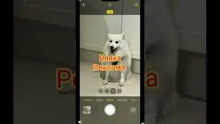 Какие я Смеси национальностей? #мемы #мемы2022 #мемас #мемы2023