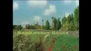 Absolutely Green