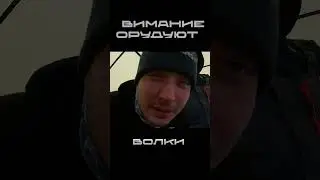 ВОЛКИ СЪЕЛИ МАРАЛА  #рыбалка #квх #зима #красноярск #сибирь