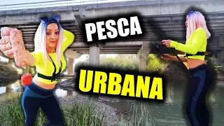 PESCA URBANA ¿mejor CEBO para CARPAS? (cómo pescar en RIO) Street Carp Fishing Invierno