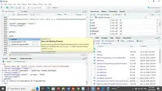 Importing Excel Data in R