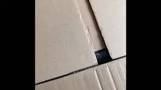Unboxing Xshot mystery box