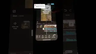 How to REMOVE VOICE or AUDIO in CapCut Tutorial