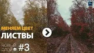 Новый слой #3: Меняем цвет листьев на деревьях в Photoshop