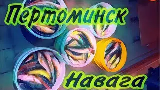 Белое море.Унская губа. 