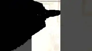 Crazy MW2 graphics bug