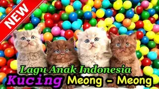 KUCING MEONG MEONG | Lagu Anak Indonesia - Cat Song
