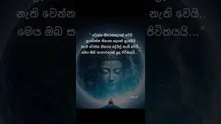 #ධර්මදානයක්_වේවා #truth #foryou #trending #viral  #love #like #buddhism #motivation #subscribe