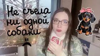 В Корее запретили есть собак! И при чём тут политика ?