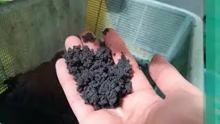 Contactless dewatering press treats sludge from electroplating