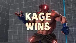 STREET FIGHTER 5 PLATINUM RANK DBL PERFECT