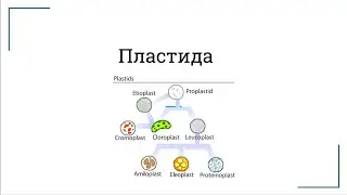 Пластида