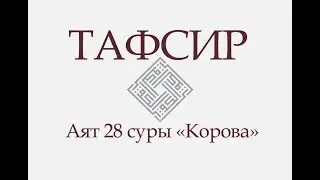 Аят 28 суры «Корова»: «Как вы не веруете в Аллаха? Вы были мертвыми, и Он оживил...» (ТАФСИР КОРАНА)