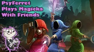 [Magicka] Magically Co-optional with LuxPatronus