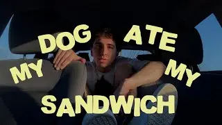 Wev-Ware - my dog ate my sandwich (Music Video)