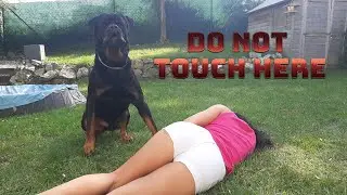 WILL MY ROTTWEILER PROTECT ME?  [ FAINT PRANK] [1080p 60FPS]