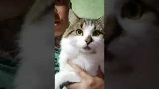 Подобрали с помойки больного котенка