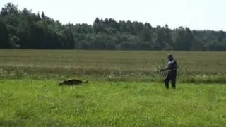 pikk jälg ristuvatega